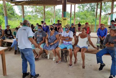 notícia: Agricultores de Benevides aprendem sobre sistema integrado de culturas 