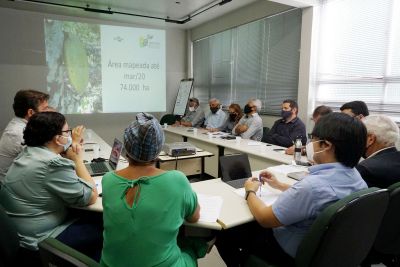 notícia: Conselho do Funcacau aprova novos projetos para o fomento do cacau no Pará