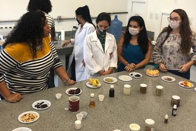 notícia: Pesquisadores paraenses recebem capacitação em análise sensorial para cacau e chocolate