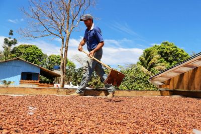 notícia: Governo concede 130 títulos de terra aos produtores rurais inscritos no 'Territórios Sustentáveis'