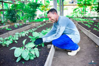 notícia: Horta do Hospital do Marajó recebe visita técnica da Emater