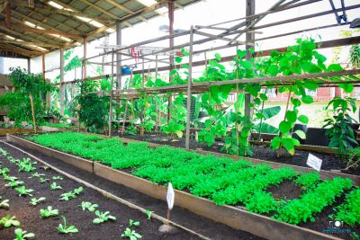 notícia: Horta do Regional do Marajó conquista premiação nacional de Amigo do Meio Ambiente