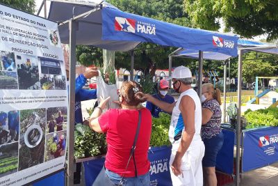 notícia: I Feira de Produtos Naturais é realizada por Centro de Recuperação Agrícola