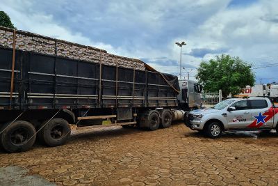 notícia: Sefa apreende mais de 140 mil latas de cerveja em Dom Eliseu 