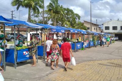 notícia: Agricultores de Santo Antônio do Tauá vendem R$ 14 mil em produtos durante Feira
