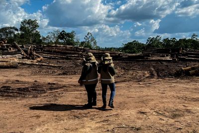 notícia: Semas fecha 10 serrarias clandestinas em operação conjunta com órgãos federais