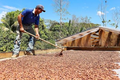 notícia: Governo do Pará tem projeto sobre 'carbono neutro' aprovado