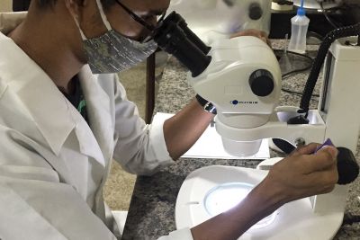 notícia: Projeto estuda comunidades de fungos na Flona de Carajás