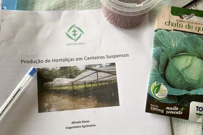 notícia: Emater ministra oficina sobre hortas suspensas para agricultores de Afuá, no Marajó