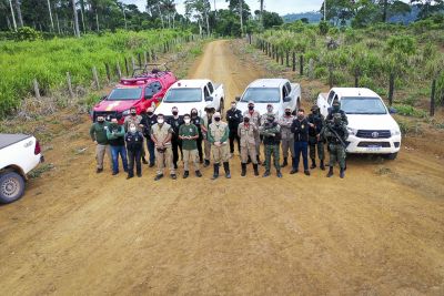 notícia: Amazônia Viva finaliza 7ª fase com resultados históricos no combate ao desmatamento