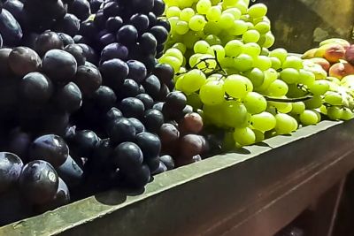 notícia: Varejão de Ano Novo da Ceasa oferta alimentos com preços acessíveis