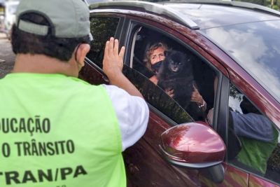notícia: Operação Fim de Ano do Detran conscientiza condutores sobre riscos de acidentes