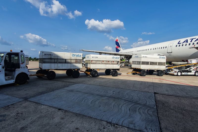 CHEGADA DE VACINAS
FOTO JADER PAES/ AGPARA <div class='credito_fotos'>Foto: Jader Paes / Agência Pará   |   <a href='/midias/2021/originais/10009_479df2a3-4d16-a18f-9c54-d66d3d5bebad.jpg' download><i class='fa-solid fa-download'></i> Download</a></div>