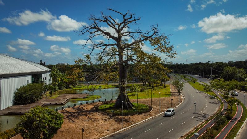  <div class='credito_fotos'>Foto: Roni Moreira / Ag.Pará   |   <a href='/midias/2021/originais/10039_ea5d3849-69ef-626d-e033-888101e3eeea.jpg' download><i class='fa-solid fa-download'></i> Download</a></div>