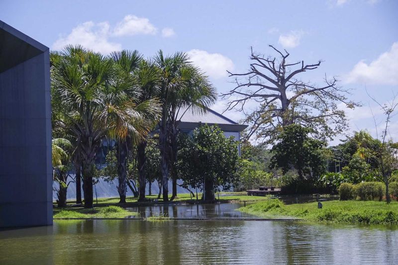  <div class='credito_fotos'>Foto: Pedro Guerreiro / Ag. Pará   |   <a href='/midias/2021/originais/10059_2aea6066-18fb-4fd5-5fc1-8e7c3b433043.jpg' download><i class='fa-solid fa-download'></i> Download</a></div>