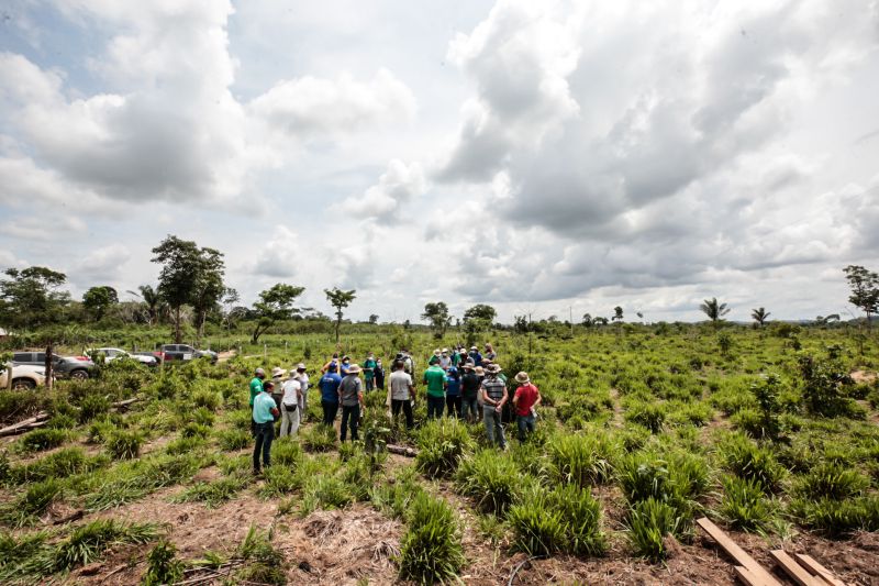 Território Sustentável Cidade São Félix do Xingu FT Alex Ribeiro/AGPARA <div class='credito_fotos'>Foto: Alex Ribeiro / Ag. Pará   |   <a href='/midias/2021/originais/10103_367cc613-f689-ce49-0669-b5c2641fbdef.jpg' download><i class='fa-solid fa-download'></i> Download</a></div>