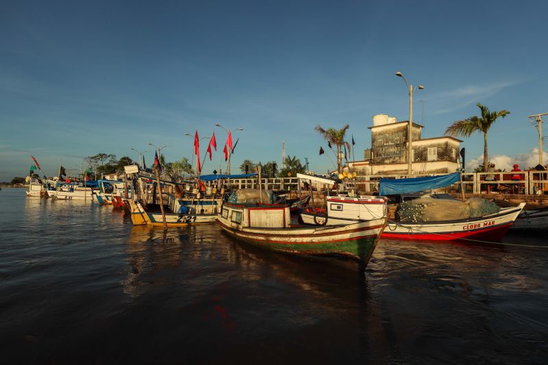  <div class='credito_fotos'>Foto: Marcelo Seabra / Ag. Pará   |   <a href='/midias/2021/originais/10168_967c3b88-7b57-64a7-75bb-05d37e122571.jpg' download><i class='fa-solid fa-download'></i> Download</a></div>
