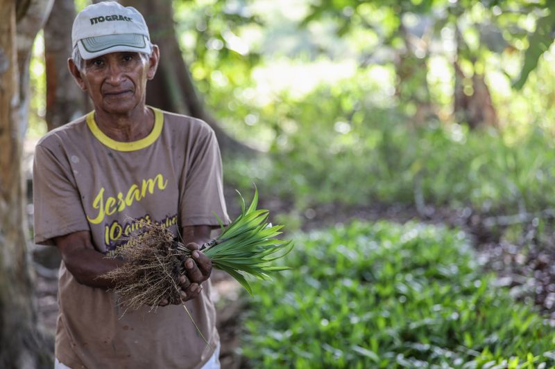  <div class='credito_fotos'>Foto: Marco Santos / Ag. Pará   |   <a href='/midias/2021/originais/10213_a1b89ab9-7115-4ce3-7754-804bbf39f068.jpg' download><i class='fa-solid fa-download'></i> Download</a></div>