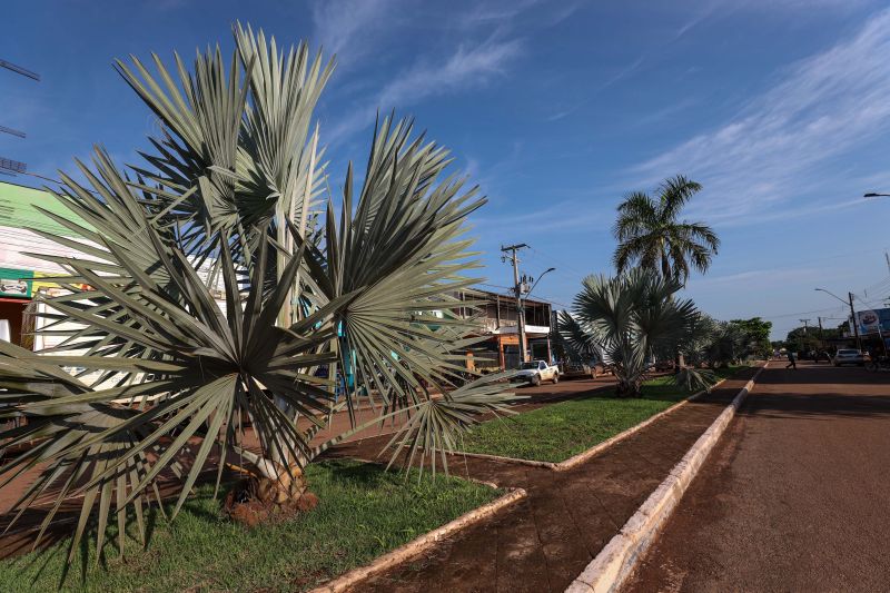 <div class='credito_fotos'>Foto: Marco Santos / Ag. Pará | <a href='/midias/2021/originais/10261_bd6f92f8-5bf5-88f6-0fa2-4696730e3081.jpg' download><i class='fa-solid fa-download'></i> Download</a></div>