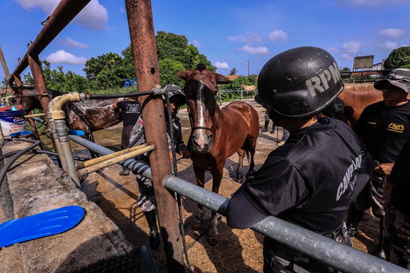 Foto: Jader Paes / Agência Pará