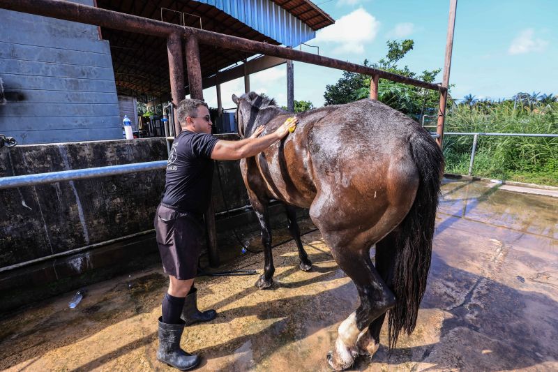 Foto: Jader Paes / Agência Pará