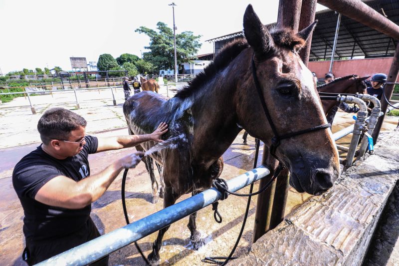 Foto: Jader Paes / Agência Pará
