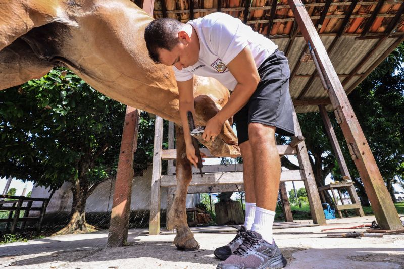 Foto: Jader Paes / Agência Pará