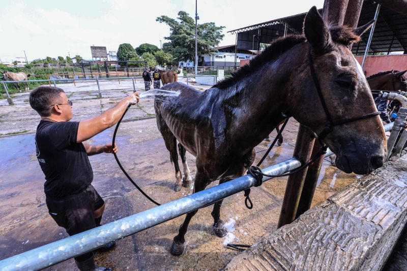 Foto: Jader Paes / Agência Pará
