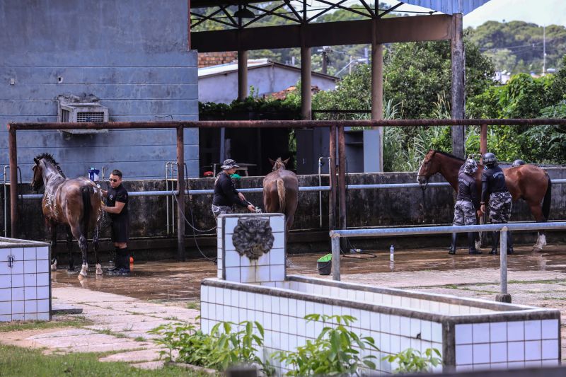 Foto: Jader Paes / Agência Pará