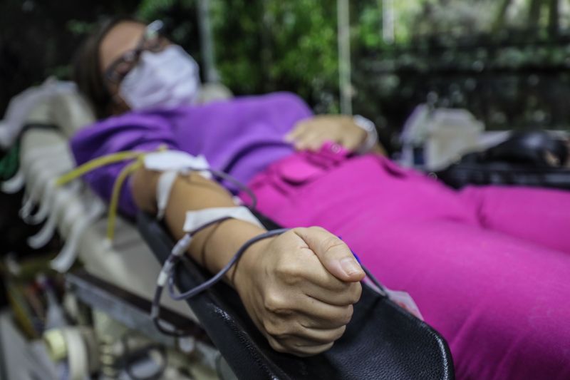  <div class='credito_fotos'>Foto: Marcelo Seabra / Ag. Pará   |   <a href='/midias/2021/originais/10341_1bcb4a35-820b-e38b-5335-9eefc0114aef.jpg' download><i class='fa-solid fa-download'></i> Download</a></div>