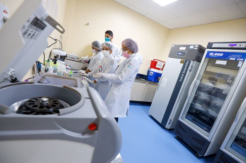  <div class='credito_fotos'>Foto: Marco Santos / Ag. Pará   |   <a href='/midias/2021/originais/11433_375ac4a3-834a-6d54-8224-fd2da3e00e22.jpg' download><i class='fa-solid fa-download'></i> Download</a></div>