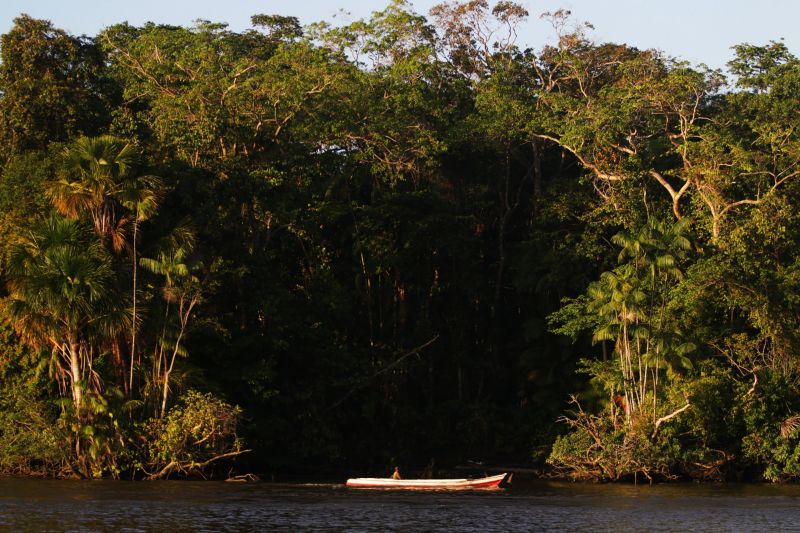 <div class='credito_fotos'>Foto: Bruno Cecim / Ag.Pará | <a href='/midias/2021/originais/7175_55f83cb3-deb3-64ff-c3c3-f8fe4fd06c1b.jpg' download><i class='fa-solid fa-download'></i> Download</a></div>