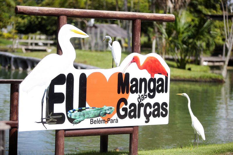 <div class='credito_fotos'>Foto: Bruno Cecim / Ag.Pará | <a href='/midias/2021/originais/7175_b4f171a1-cb89-02c2-1d6e-9c87e9e1ffd3.jpg' download><i class='fa-solid fa-download'></i> Download</a></div>