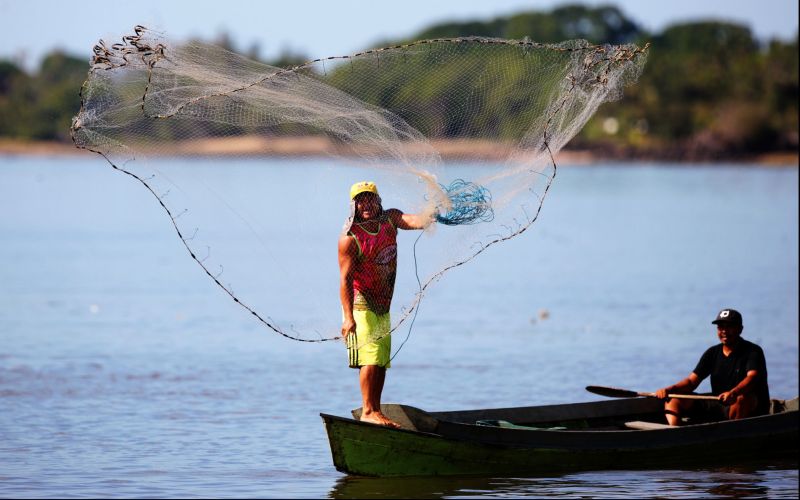 <div class='credito_fotos'>Foto: Bruno Cecim / Ag.Pará | <a href='/midias/2021/originais/7175_f6ab3e1f-7ca7-2c2d-c908-d99adfd62690.jpg' download><i class='fa-solid fa-download'></i> Download</a></div>
