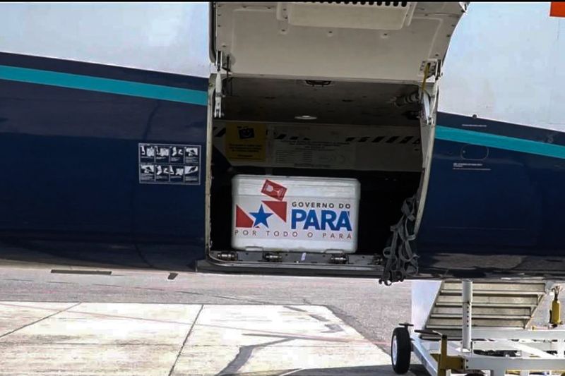 As 7.800 de vacina chegaram ao município de Santarém, na manhã desta terça-feira (2). Essa é a primeira parte de um total de 11.503 doses que serão enviadas pelo Governo do Estado para as regiões do Baixo Amazonas e Tocantins, para vacinar exclusivamente, idosos de 80 anos para mais.  <div class='credito_fotos'>Foto: Roni Moreira / Ag.Pará   |   <a href='/midias/2021/originais/7267_dcdc0e1e-54cf-757c-3dbe-5d6b8ca3cc49.jpg' download><i class='fa-solid fa-download'></i> Download</a></div>