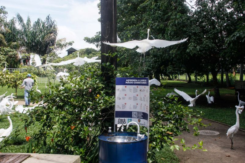  <div class='credito_fotos'>Foto: Divulgação / Ag. Pará   |   <a href='/midias/2021/originais/7309_385817d3-de1f-d5f5-b0f7-0618d150bacf.jpg' download><i class='fa-solid fa-download'></i> Download</a></div>