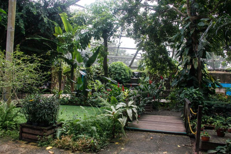  <div class='credito_fotos'>Foto: Divulgação / Ag. Pará   |   <a href='/midias/2021/originais/7309_45f1d1c8-167f-13fa-a765-a8bdfa14a82a.jpg' download><i class='fa-solid fa-download'></i> Download</a></div>