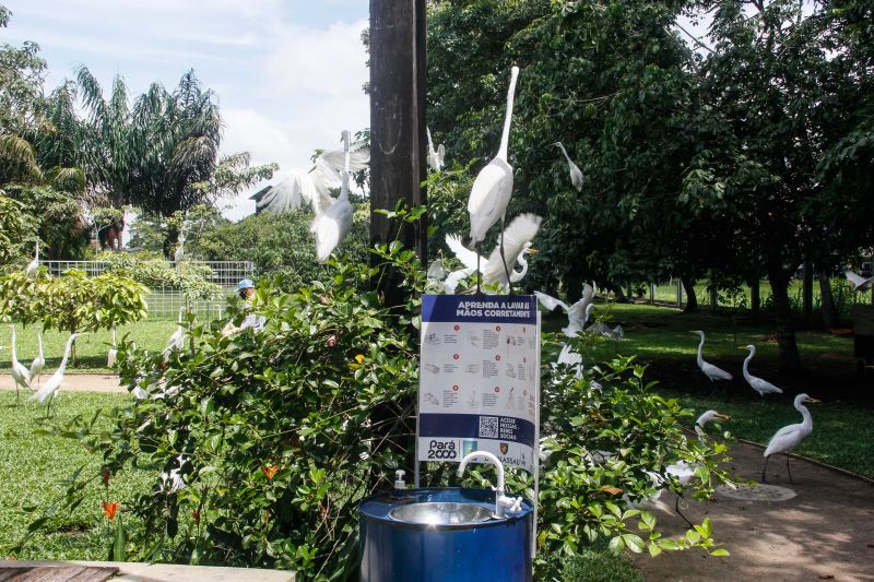  <div class='credito_fotos'>Foto: Divulgação / Ag. Pará   |   <a href='/midias/2021/originais/7309_8ae7b7c5-fffd-3a90-091d-224ad32a80f6.jpg' download><i class='fa-solid fa-download'></i> Download</a></div>