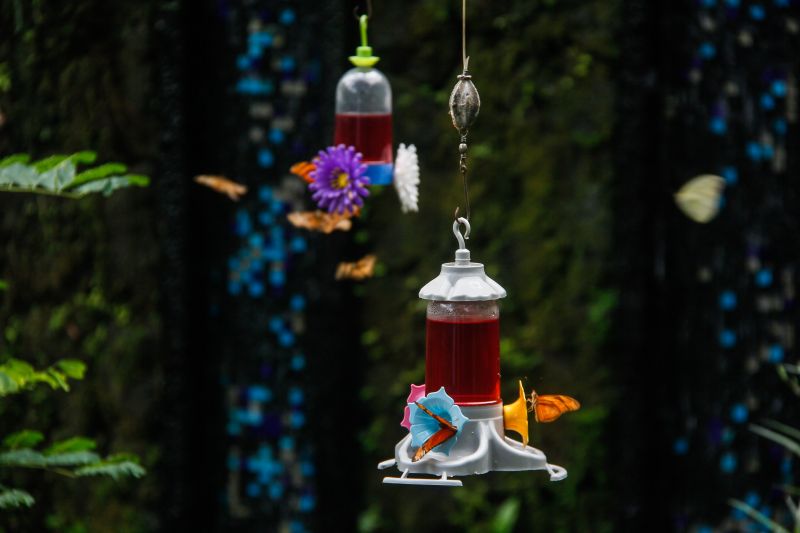  <div class='credito_fotos'>Foto: Divulgação / Ag. Pará   |   <a href='/midias/2021/originais/7309_af1585aa-dd0a-e6bf-bc34-670f1104789d.jpg' download><i class='fa-solid fa-download'></i> Download</a></div>