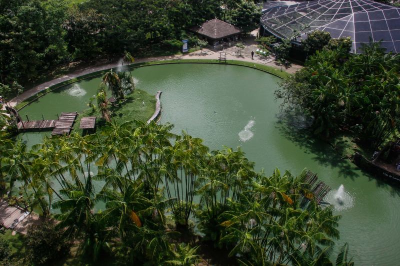  <div class='credito_fotos'>Foto: Divulgação / Ag. Pará   |   <a href='/midias/2021/originais/7309_c5af3f03-70e3-735b-0176-ae76bfb57252.jpg' download><i class='fa-solid fa-download'></i> Download</a></div>