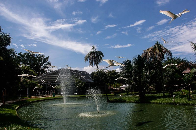  <div class='credito_fotos'>Foto: Divulgação / Ag. Pará   |   <a href='/midias/2021/originais/7309_e25b70b6-e5a5-c9c1-8385-f0bad84e1a12.jpg' download><i class='fa-solid fa-download'></i> Download</a></div>