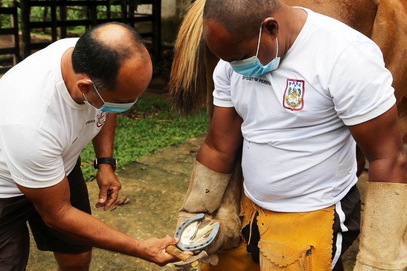  <div class='credito_fotos'>Foto: Bruno Cecim / Ag.Pará   |   <a href='/midias/2021/originais/7337_b65beb46-d9a0-d2e2-73d3-96744056d864.jpg' download><i class='fa-solid fa-download'></i> Download</a></div>