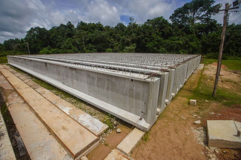 Foto: Marco Santos / Ag. Pará