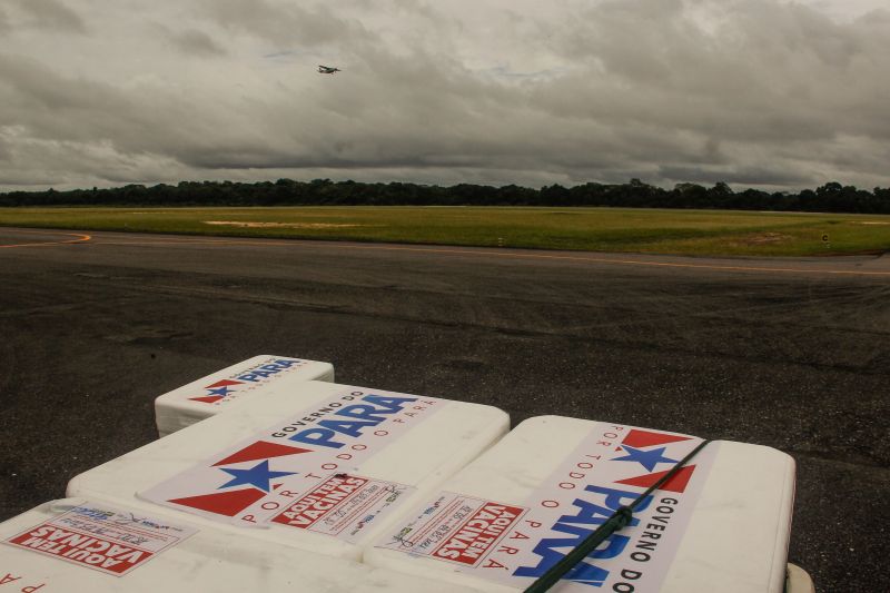 Foto: Marcelo Seabra / Ag. Pará