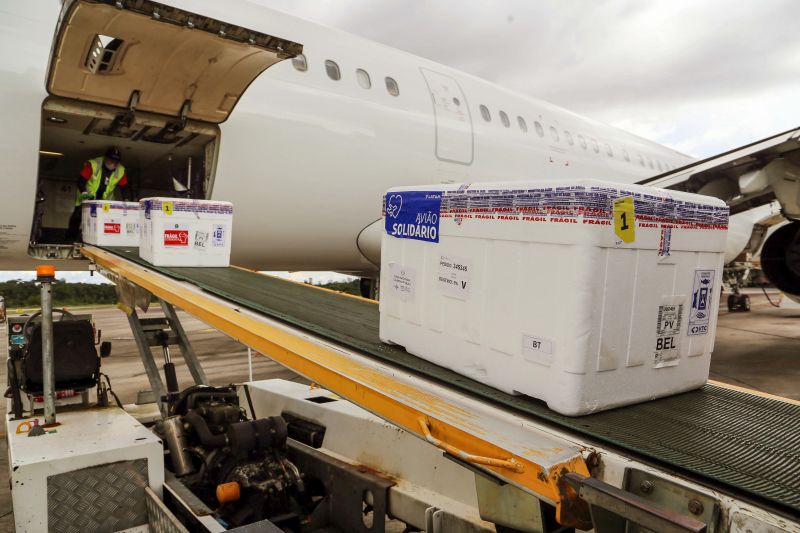  <div class='credito_fotos'>Foto: Bruno Cecim / Ag.Pará   |   <a href='/midias/2021/originais/7470_8609d88c-0dfa-2e9c-bea3-16159c5d3dc9.jpg' download><i class='fa-solid fa-download'></i> Download</a></div>