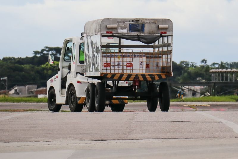 Foto: Rodrigo Pinheiro / Ag.Pará