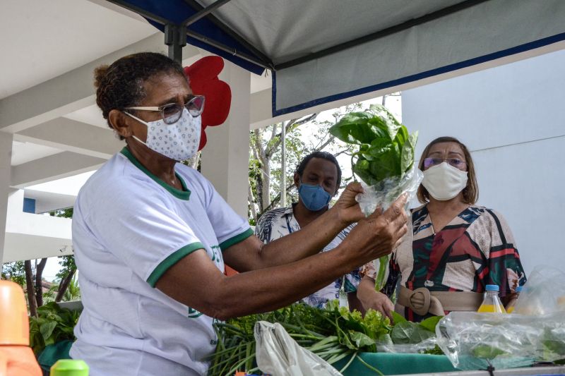 Fotos de arquivo representando a geração de trabalho para mulheres negras