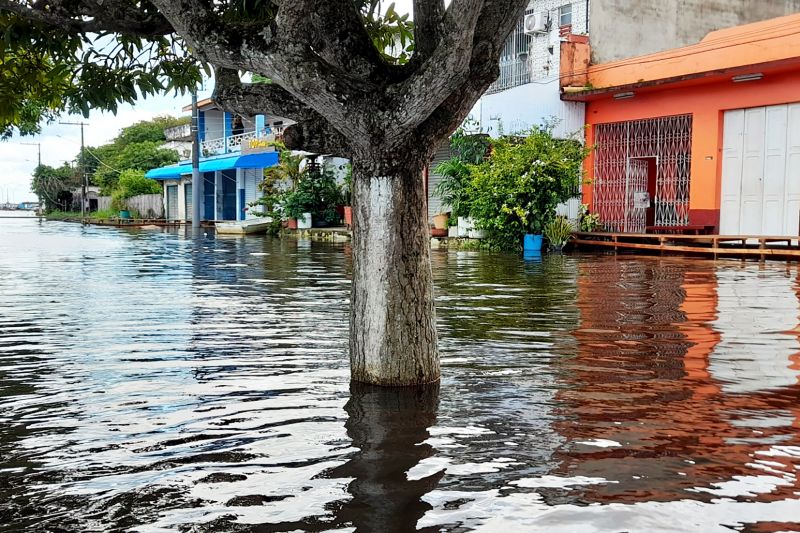  <div class='credito_fotos'>Foto: Bruno Cecim / Ag.Pará   |   <a href='/midias/2021/originais/8658_c9a0a265-0e36-e32d-b130-485d3544fb11.jpg' download><i class='fa-solid fa-download'></i> Download</a></div>