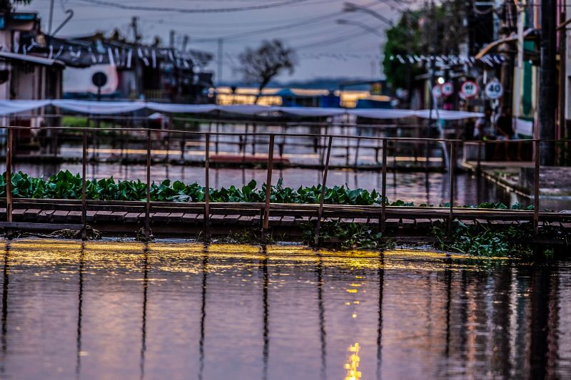 Foto: Marco Santos / Ag. Pará