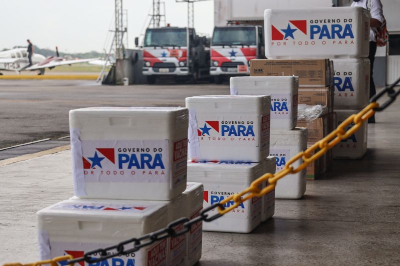  <div class='credito_fotos'>Foto: Bruno Cecim / Ag.Pará   |   <a href='/midias/2021/originais/8861_0c347f13-b06a-08a7-267c-d11403d8b98f.jpg' download><i class='fa-solid fa-download'></i> Download</a></div>